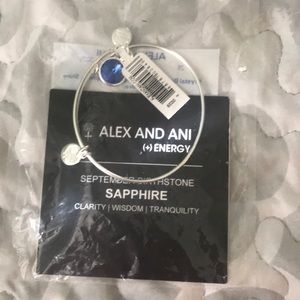 Alex and Ani September bracelet